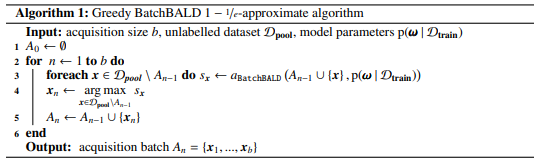 BatchBALD algorithm in the paper